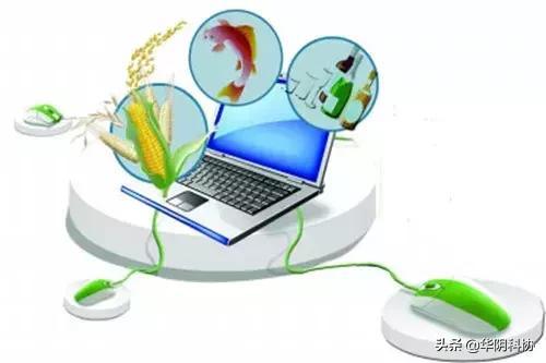 网络技术赋能农民 机遇与挑战